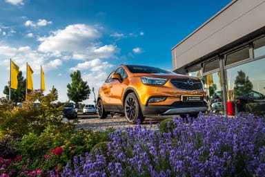 Hervorgehobenes Opel-Fahrzeug in leuchtendem Orange auf dem Außengelände des Autohauses Strauch, umgeben von Lavendel und blühenden Pflanzen.